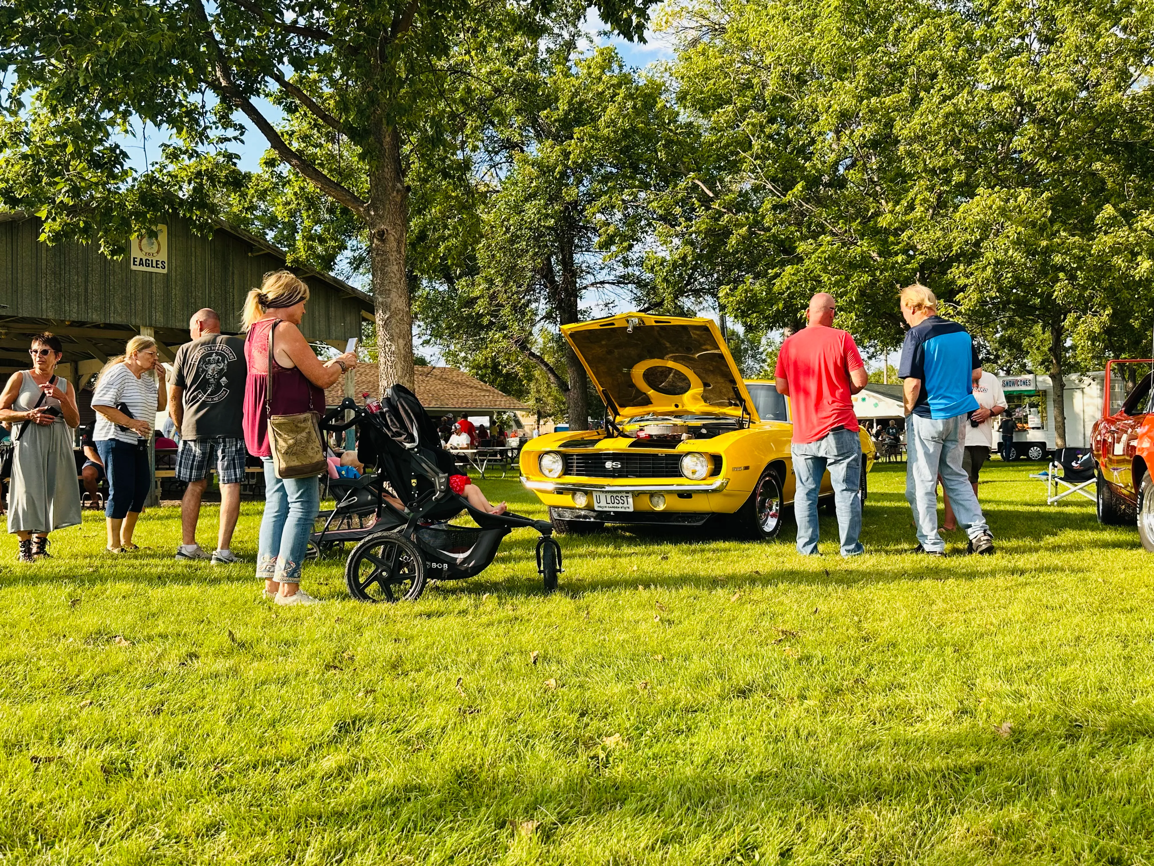 Wide aerial view of the entire car show with dozens of classics across green field